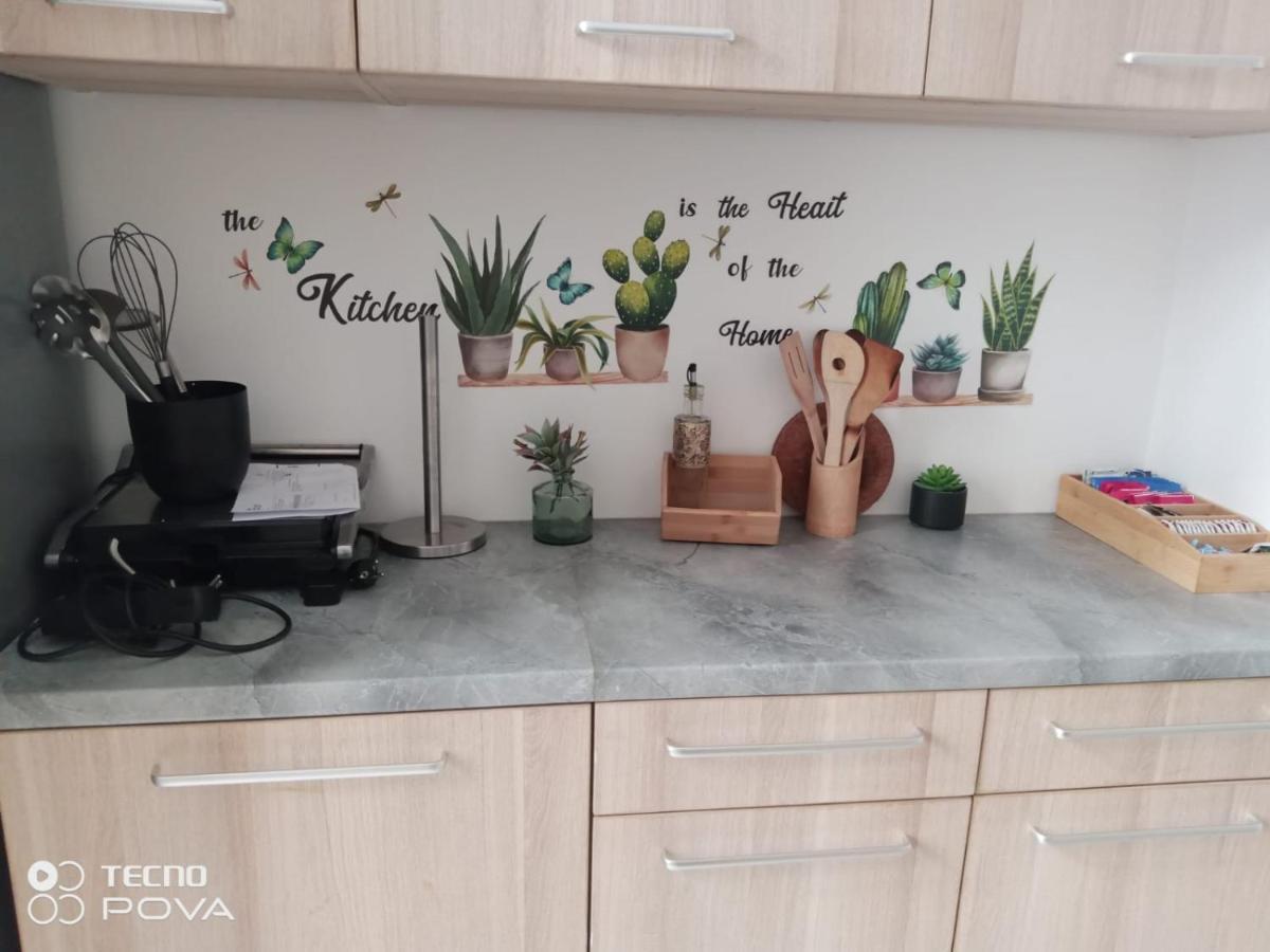 Grand Appartement Au Coeur De Strasburg Zewnętrze zdjęcie